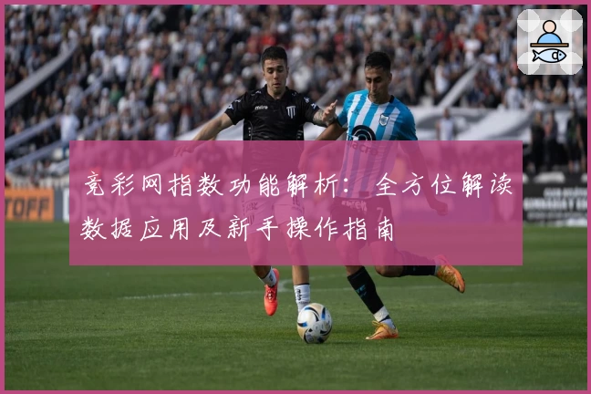 竞彩网指数功能解析：全方位解读数据应用及新手操作指南