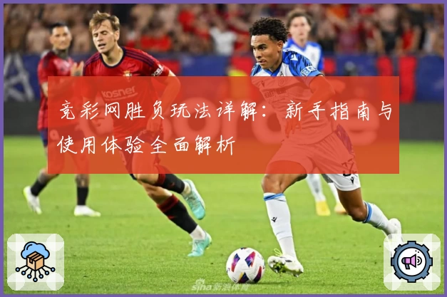 竞彩网胜负玩法详解：新手指南与使用体验全面解析