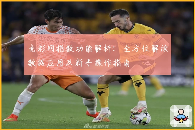 竞彩网指数功能解析：全方位解读数据应用及新手操作指南