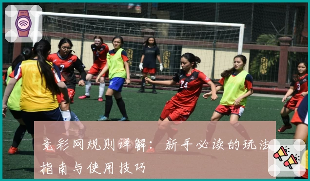 竞彩网规则详解：新手必读的玩法指南与使用技巧